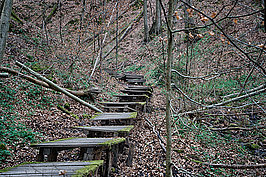 Bernhard Saalfeld - Tretschbachtal (2v9)